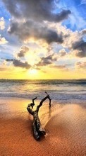 Landschaft,Strand,Sunset für Samsung Galaxy Tab S 10.5