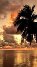 Lade kostenlos Hintergrundbilder Landschaft,Strand,Sunset für Handy oder Tablet herunter.