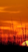 Lade kostenlos Hintergrundbilder Landschaft,Sunset,Grass,Felder für Handy oder Tablet herunter.