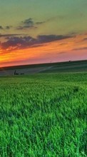 Lade kostenlos Hintergrundbilder Landschaft,Felder,Sunset für Handy oder Tablet herunter.