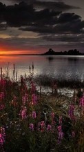 Lade kostenlos Hintergrundbilder Landschaft,Natur,Sunset für Handy oder Tablet herunter.