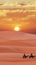 Lade kostenlos Hintergrundbilder Landschaft,Wüste,Kamele für Handy oder Tablet herunter.