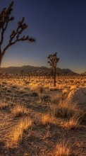 Lade kostenlos Hintergrundbilder Landschaft,Sunset,Wüste für Handy oder Tablet herunter.