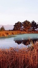 Landschaft,Flüsse für Samsung Star 2 S5260 