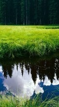 Lade kostenlos Hintergrundbilder Landschaft,Flüsse,Grass für Handy oder Tablet herunter.