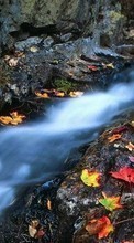 Landschaft,Wasser,Flüsse für Sony Xperia Z1S