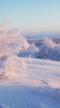 Lade kostenlos Hintergrundbilder Landschaft,Winterreifen,Schnee,Bush für Handy oder Tablet herunter.