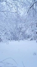 Lade kostenlos Hintergrundbilder Landschaft,Winterreifen,Schnee für Handy oder Tablet herunter.