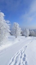 Landschaft,Schnee,Winterreifen für BlackBerry Torch 9800