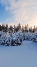 Lade kostenlos Hintergrundbilder Landschaft,Schnee,Winterreifen für Handy oder Tablet herunter.