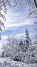 Lade kostenlos Hintergrundbilder Landschaft,Winterreifen für Handy oder Tablet herunter.