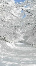 Landschaft,Winterreifen für HTC Desire