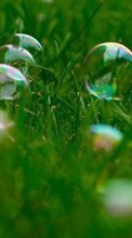 Lade kostenlos Hintergrundbilder Pflanzen,Grass,Bubbles für Handy oder Tablet herunter.