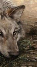 Lade kostenlos Hintergrundbilder Tiere,Wölfe,Bilder für Handy oder Tablet herunter.