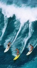 Surfen,Sport,Waves für LG Optimus Pro C660