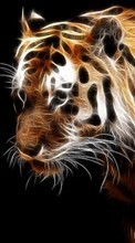 Lade kostenlos Hintergrundbilder Tiere,Kunst,Tigers für Handy oder Tablet herunter.