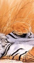 Lade kostenlos Hintergrundbilder Tigers,Tiere für Handy oder Tablet herunter.