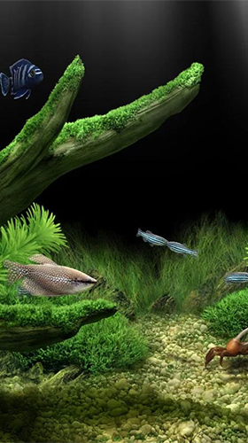 Download Interaktiv Live Wallpaper Aquarium  für Android kostenlos.