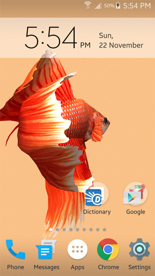 Kostenlos Live Wallpaper Betta Fisch 3D  für Android Smartphones und Tablets downloaden.