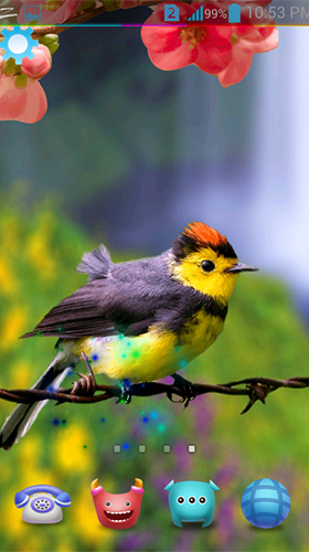 Download Tiere Live Wallpaper Vögel 3D  für Android kostenlos.
