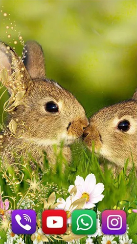Download Interaktiv Live Wallpaper Kaninchen  für Android kostenlos.