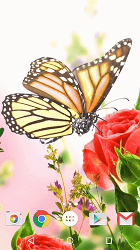 Download Blumen Live Wallpaper Schmetterling  für Android kostenlos.