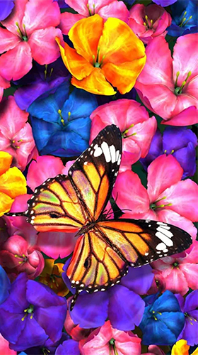 Download Live Wallpaper Schmetterling  für Android-Handy kostenlos.