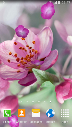Download Blumen Live Wallpaper Kirschblüten  für Android kostenlos.