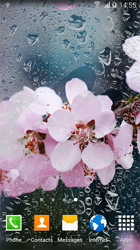 Download Blumen Live Wallpaper Blühende Kirsche  für Android kostenlos.