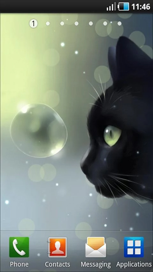 Download Tiere Live Wallpaper Neugierige Katze  für Android kostenlos.