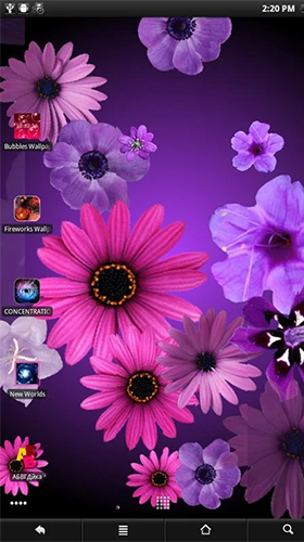 Download Interaktiv Live Wallpaper Blumen  für Android kostenlos.