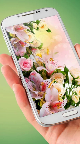 Kostenlos Live Wallpaper Blumen  für Android Smartphones und Tablets downloaden.