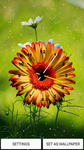 Download Blumen Live Wallpaper Blumenuhr  für Android kostenlos.