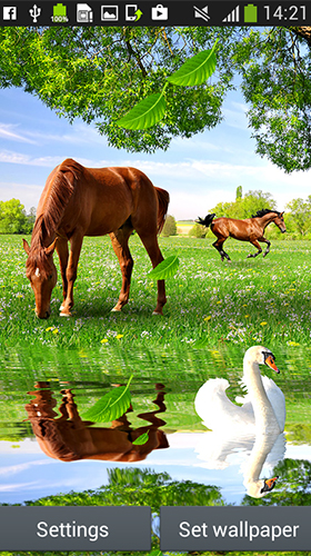 Download Tiere Live Wallpaper Pferde  für Android kostenlos.