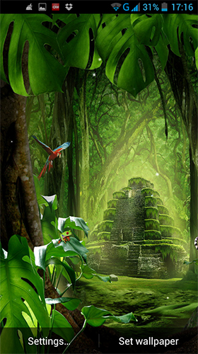 Download Pflanzen Live Wallpaper Dschungel  für Android kostenlos.