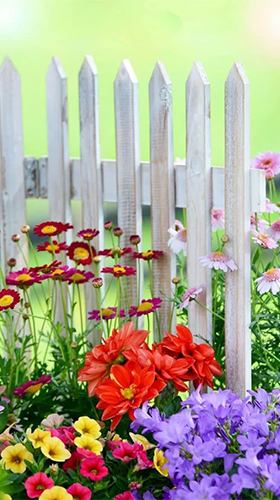 Download Blumen Live Wallpaper Magischer Garten  für Android kostenlos.