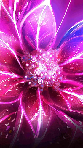 Download Blumen Live Wallpaper Neonblumen  für Android kostenlos.