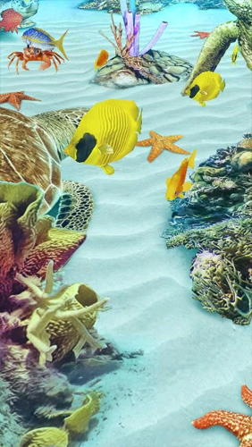 Kostenlos Live Wallpaper Ozean Aquarium 3D: Insel der Schildkröten  für Android Smartphones und Tablets downloaden.
