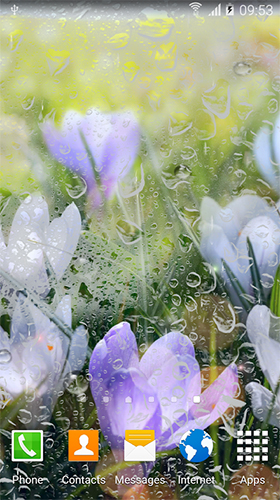 Download Live Wallpaper Blumen im Regen  für Android-Handy kostenlos.