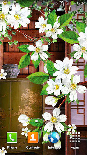 Download Pflanzen Live Wallpaper Sakura  für Android kostenlos.