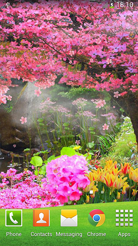 Download Blumen Live Wallpaper Sakura  für Android kostenlos.