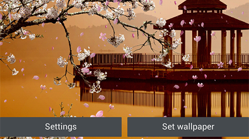 Download Interaktiv Live Wallpaper Sakura Garten  für Android kostenlos.