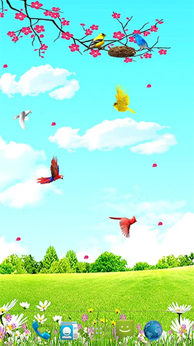 Download Live Wallpaper Vögel im Himmel  für Android-Handy kostenlos.