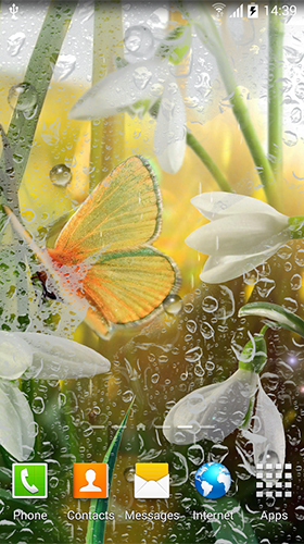 Download Pflanzen Live Wallpaper Frühling  für Android kostenlos.