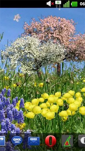 Download Blumen Live Wallpaper Frühlingsblumen  für Android kostenlos.