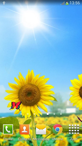 Kostenlos Live Wallpaper Sonnenblumen  für Android Smartphones und Tablets downloaden.