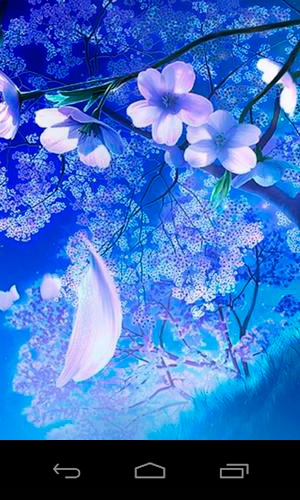 Download Musik Live Wallpaper 3D Zauberhafte Sakura für Android kostenlos.