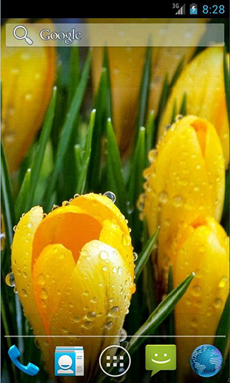 Download Live Wallpaper Erstaunliche Frühlingsblumen für Android 5.0 kostenlos.