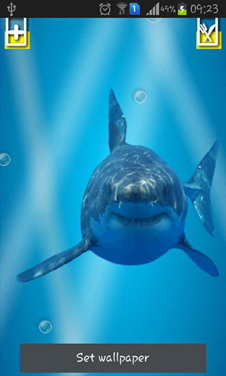 Download Live Wallpaper Wütender Hai: Zersprungenes Display für Android-Handy kostenlos.