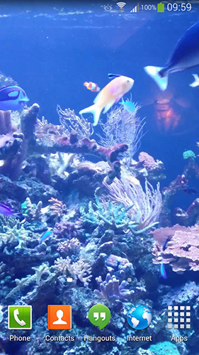 Android Hintergrundbilder Aquarium HD 2 kostenlos auf den Desktop herunterladen. 
